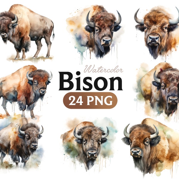 Watercolour Bison, Bison PNG, Transparent PNG Files, Commercial
