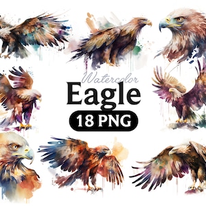 Adler Aquarell, Adler Clipart, Adler png, Aquarell Adler Clipart