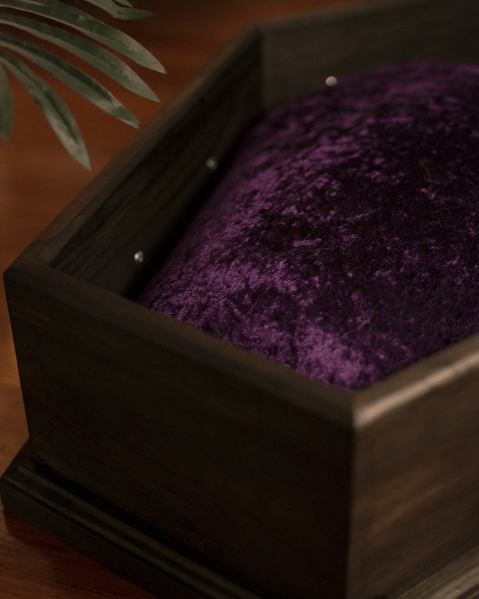 Coffin Pet Bed / Gothic Cat Bed / Coffin Dog Bed / Gothic Bed / Coffin