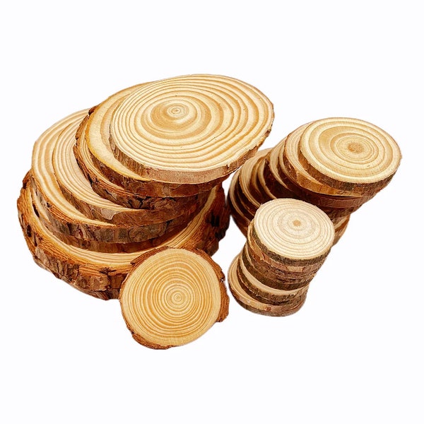 Natural Pine Wood Slice with Bark, 2-10pcs, Unfinished Round Wood Log,  or DIY Craft, School Project, Keychain, Wood Sign, Woodworking Tool