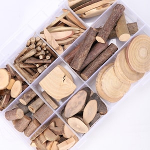 Irregular Size Wood Logs Set with Box Assorted Sizes Natural Wooden Blank Branches Unfinished Tree Slices for DIY Craft