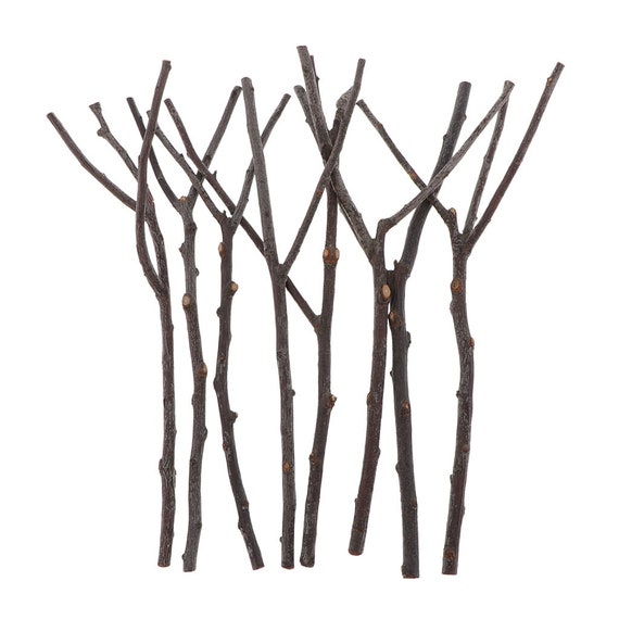 Branches d'arbre en bois naturel, 8 pièces/ensemble, tige en bois
