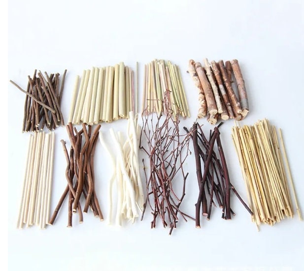 10Pcs Wooden Sticks Natural Branch Willow Tree Branch DIY Wedding Decor  Supplies