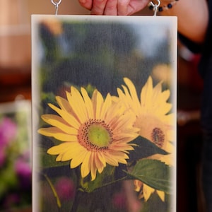 Mural, photo on wood, sunflower