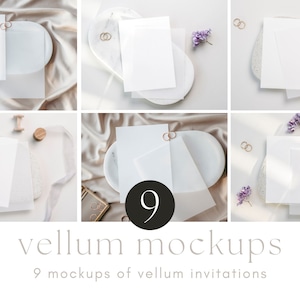 Vellum Invitation Mockup Bundle, Minimalist 5x7 Vellum Greeting Card Mock Up Set, Smart object, PSD JPG, INSTANT Download