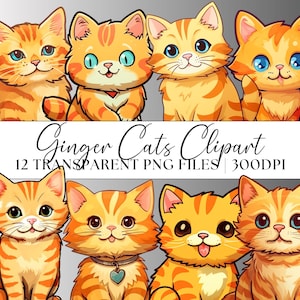 Clipart gatti rossi, gattini stile cartone animato trasparente 12x forme PNG pacchetto tema gattino regali per bambini festa di compleanno inviti immagini di matrimonio