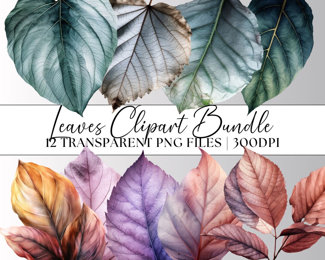 Leaves Clipart, 12 Transparent PNG Shapes, Nursery Decor Leaf Theme for ...