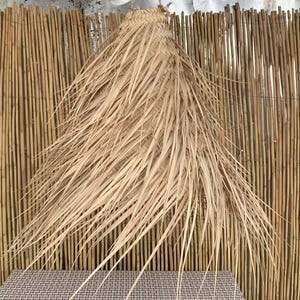 May include: A natural woven pendant light fixture with long, dried palm leaves. The light hangs from a rope and is set against a backdrop of bamboo and a corrugated metal sheet. The fixture is a light beige color.