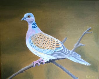 Paloma torca en una rama, pequeño óleo, 30 x 24 cm, pintura de animales, decoración artística para el hogar, animal pequeño, regalo único