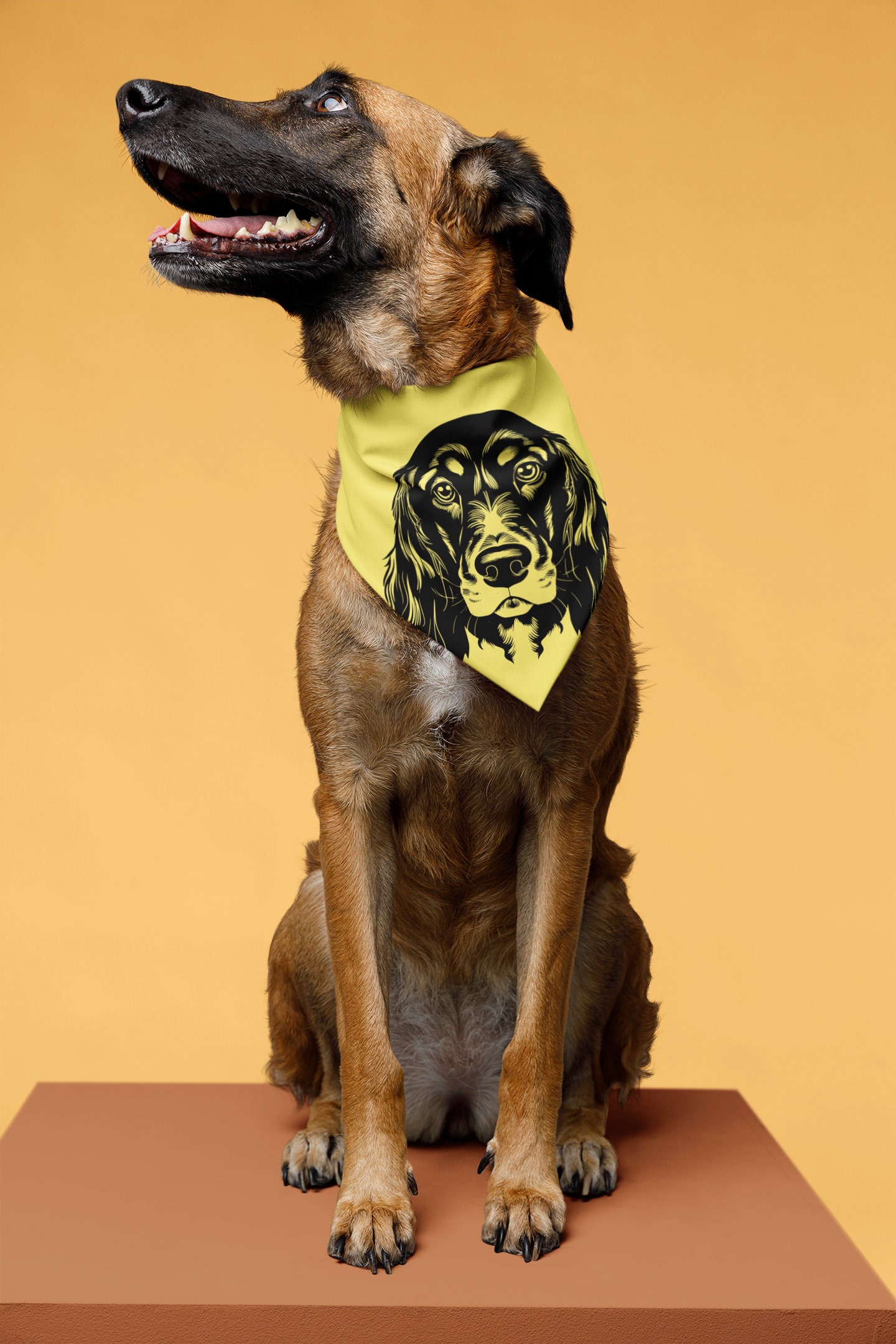 Dog Head SVG Bundle 2, Dog Breed SVG Bundle, Dog Face SVG, Dog Head Cut File, Exclusive Dog Svg