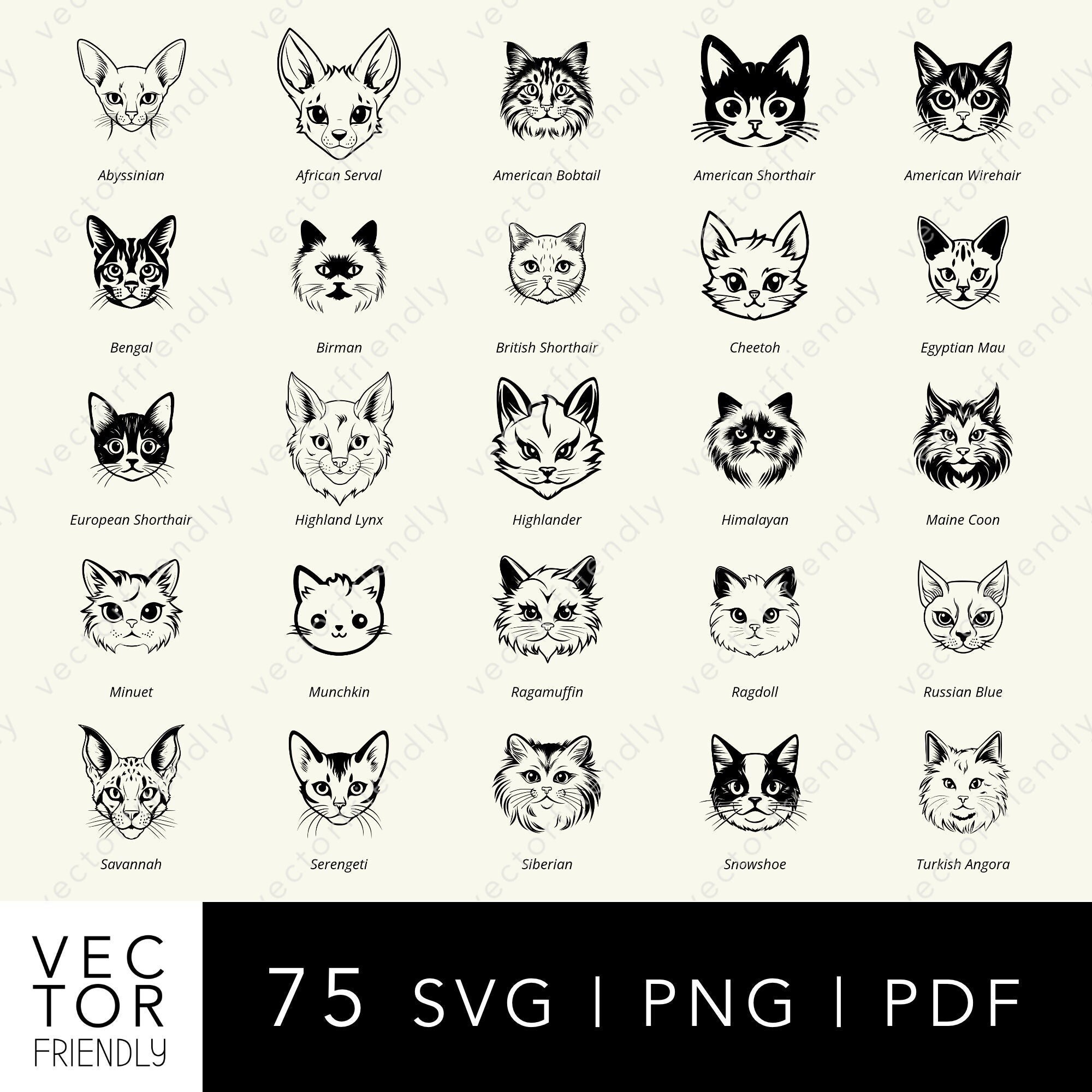 Cat Head SVG Bundle, Cat Breed SVG Bundle, Cat Face SVG, Cat Head Cut File, Exclusive Cat Svg