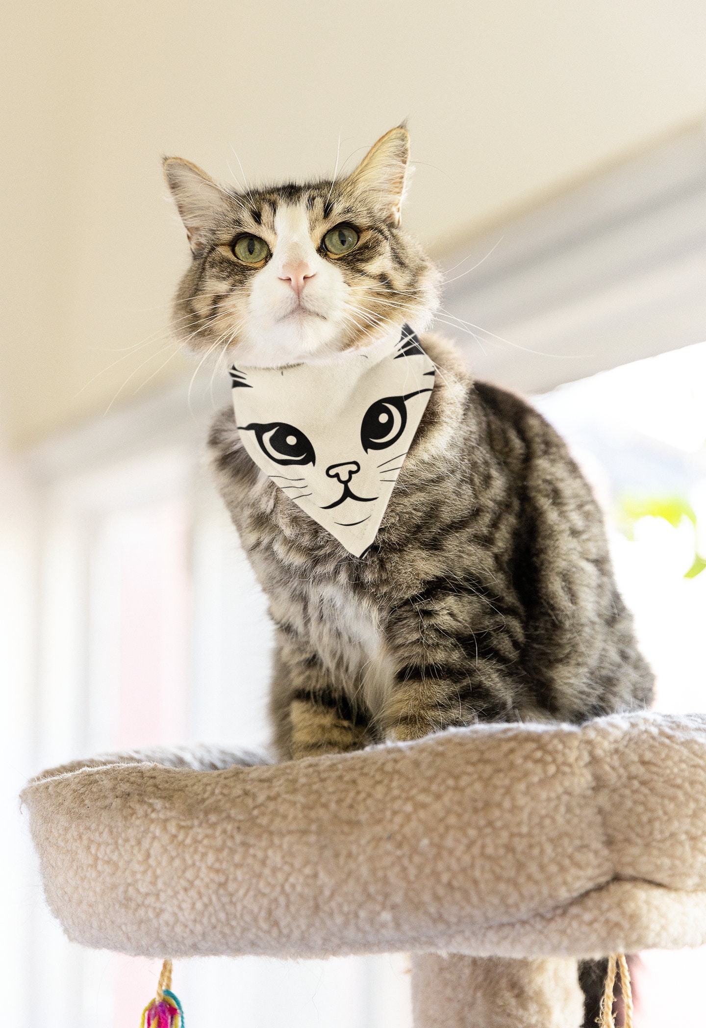 Cat Head SVG Bundle, Cat Breed SVG Bundle, Cat Face SVG, Cat Head Cut File, Exclusive Cat Svg