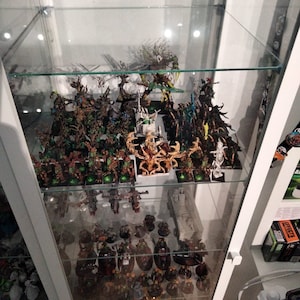 Peut inclure: Une vitrine en verre remplie de figurines miniatures. Les figurines sont peintes de différentes couleurs et représentent des personnages et des créatures fantastiques. La vitrine comporte plusieurs étagères et les figurines sont disposées en groupes.