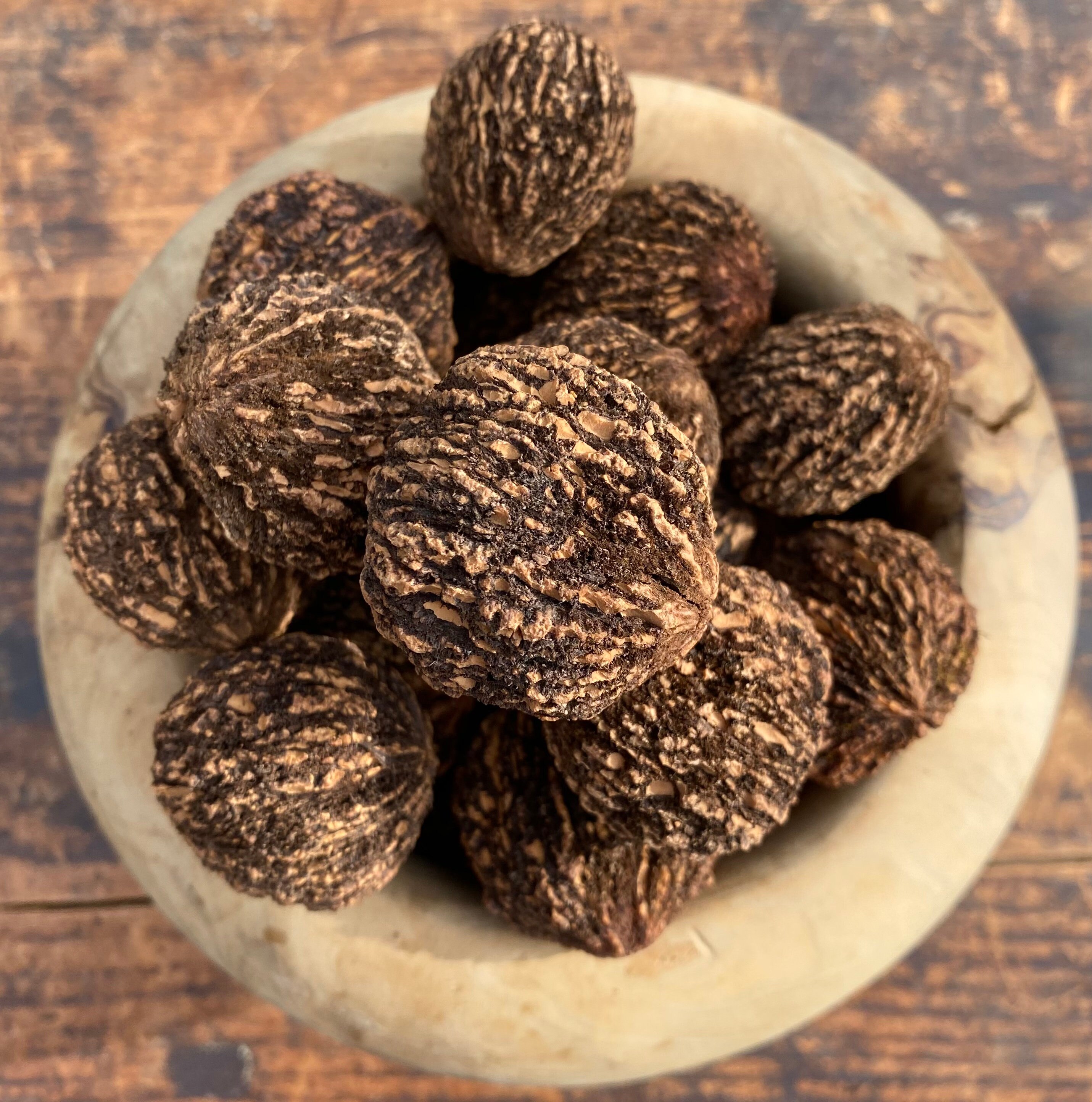 Fresh Grown Black Walnuts Etsy