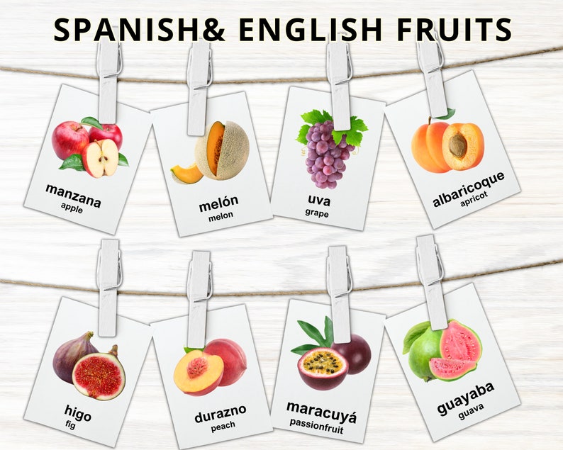 May include: A display of fruit cards, each clipped to a string with a white clip. The cards feature images of various fruits like apples, grapes, and peaches, with Spanish and English names. The text "SPANISH & ENGLISH FRUITS" is at the top.