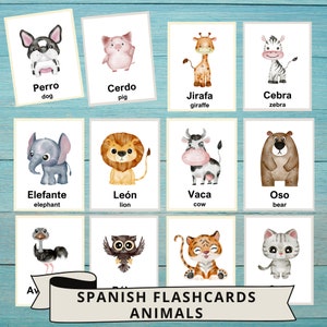 Spanish & English Animal Flashcards, Printable Bilingual Animals Flash Card, Preschool Homeschool Classroom, Learn Spanish, Montessori Cards