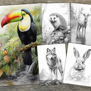 Wildlife Coloring Book, Animal Printable Coloring Pages For Adults, Grayscale Colouring Page, Digital Download Coloring Page, PDF Coloring