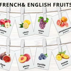 French & English Fruit Flashcards, Printable Bilingual Fruits Flash Card, Preschool Homeschool, Montessori Cards, Nomenclature Flashcards