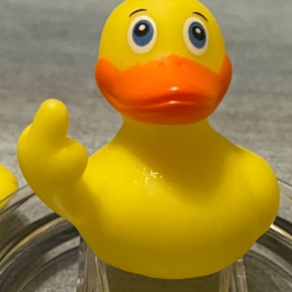 Middle Finger Rubber Duck Etsy