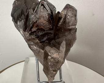 May include: A cluster of smoky quartz crystals, showcasing a range of brown and clear hues. The crystals are mounted on a clear acrylic base with a silver metal stand, creating a striking display.