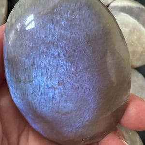 Puede incluir: Una piedra preciosa pulida de forma ovalada, con una superficie brillante, iridiscente azul y gris. La piedra tiene una forma lisa y redondeada y parece ser una piedra lunar o un cristal similar. Se ven otras piedras similares.