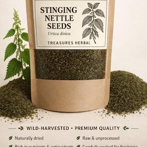 Brennessel Samen | Brennnessel Samen | Urtica Dioica | Brennnesselsamen Tee | Getrocknete Brennesselsamen | Kräutertee