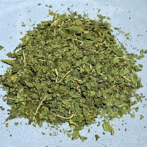 Könnte beinhalten: Ein Haufen getrockneter, grüner Blätter, möglicherweise Kräuter oder Gewürze, liegt auf einer hellblauen, leicht strukturierten Oberfläche. Die Blätter sind unterschiedlich groß und geformt, einige Stiele sind sichtbar. Die Beleuchtung ist hell und natürlich.