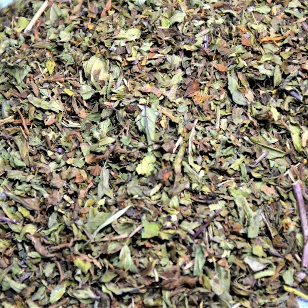 Feuille de menthe verte biologique, Mentha spicata, Thé à la menthe verte, Botanique, Feuille de menthe verte naturelle, Thé curatif, Aromathérapie, Menthe verte, sorcellerie