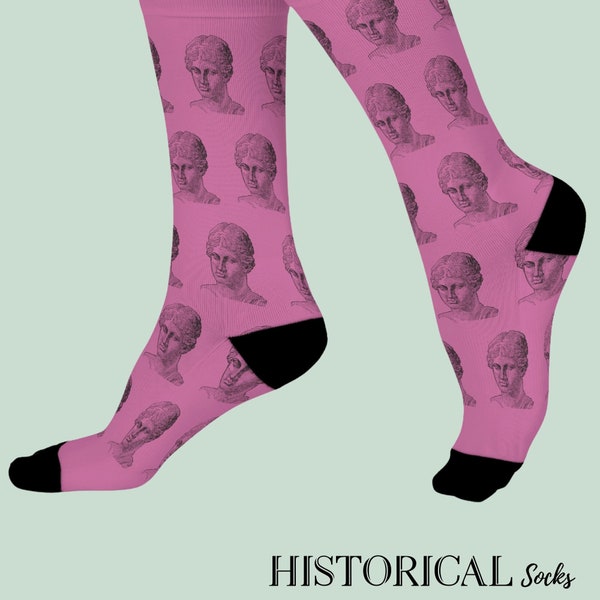 Sappho Poet Greek Mythology Poetess Dark Academia Ancient Greek Poetry Women Love Gift Novelty Socks Pink Socks Teacher Gift Unisex Socks