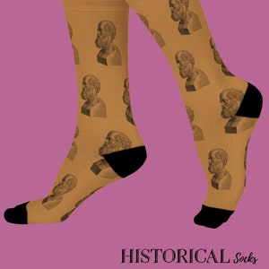 Hippocrates Hippocratic Gift For Doctor Physician Gifts Medicine Gift Gift Ancient Greece Gift Physician Assistant Graduation Gift Socks