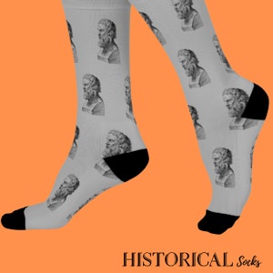 Plato Gift Plato Socks Novelty Socks Philosophy Gifts Philosopher Platonism Greek History Gifts Greek History Socks Unisex Socks Gray Socks
