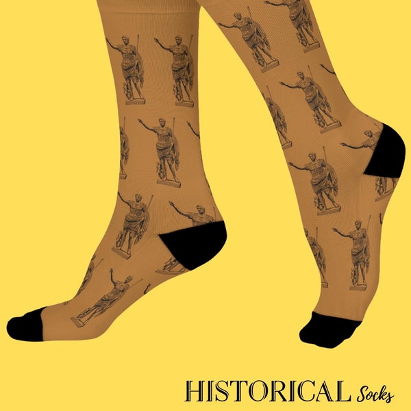 Roman Emperor Socks Augustus Boss Gift For Men Italian Gift Leadership Mentor Gift Ancient Rome History Socks Light Brown Novelty Socks