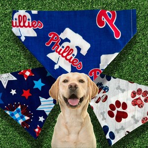 Op de afbeelding: Een lachende gele Labrador Retriever met drie hondenbandana's. Eén is blauw met het woord "Phillies" en een logo. Een andere is marineblauw met rode en witte sterren. De derde is wit met rode pootafdrukken.