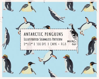 Modèle sans couture de pingouin avec des illustrations de différents oiseaux de l'Antarctique pour l'impression sur tissu ou papier