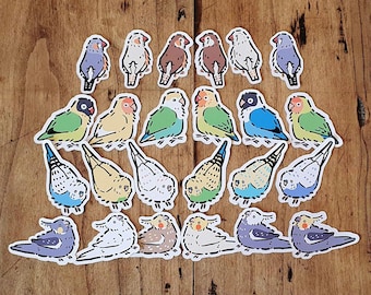 Pet Birds Matte Sticker Bundles