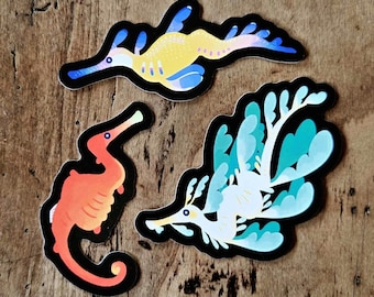 Pegatinas holográficas y mate de dragones marinos