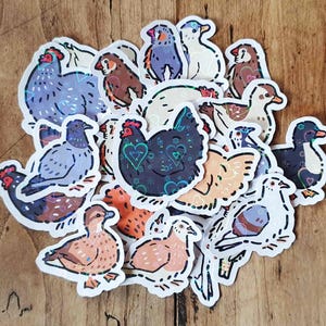 Adesivi per uccelli domestici con effetto cuore olografico