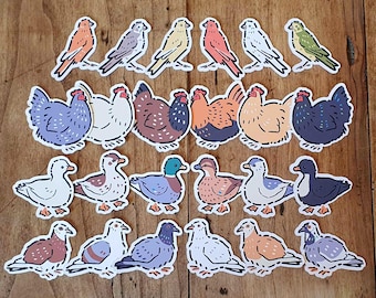 Pet Birds Matte Sticker Bundles