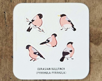 Eurasian Bullfinch Mini Sticker Sheet