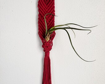 Hanging Macrame Airplant Holder