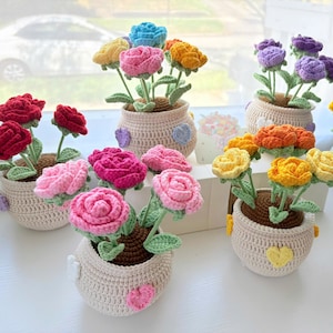 Maceta de rosas de ganchillo hecha a mano, regalo floral para el Día de la Madre, flores que perduran, decoración acogedora para el hogar, regalo floral para la graduación de un profesor.