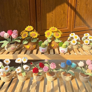 母の日ギフト、かぎ針編みの植木鉢、かぎ針編みの花のギフト、卒業式、友人への誕生日プレゼント、デスクデコレーション、永遠に咲き続ける花