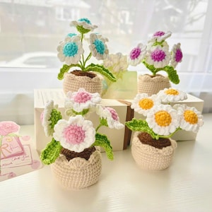 Crochet daisy, crochet flower pot, crochet daisy flower, artificial daisy, daisy pot, desk decoration, table decoration, gift for friend