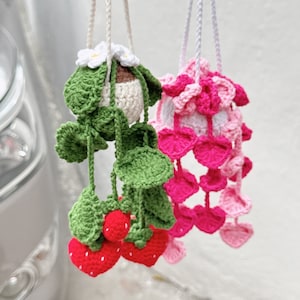 May include: Two crocheted hanging planters, one with green leaves and red strawberries, the other with pink and white flowers.