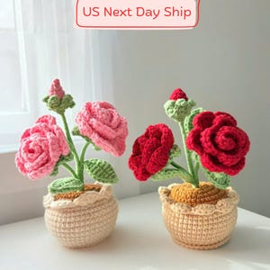 Crochet rose pot, crochet flower pot, crochet pot for plant lover, crochet plant, crochet pot, mothers day gift, gift for her, valentine gif
