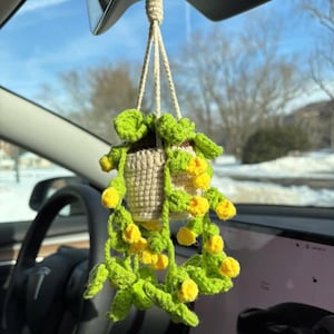 Hanging plant for car mirror, crochet flower, crochet pothos, car mirror hanging accessories, crochet monstera plant, crochet plan for mom