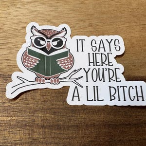 It Says Here You&#39;re A Lil Bitch Sticker, Waterproof Die-Cut Vinyl  Funny Gifts