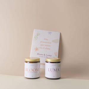 Pacchetto edizione speciale primavera | Bloom & Luma + Carta Piantabile