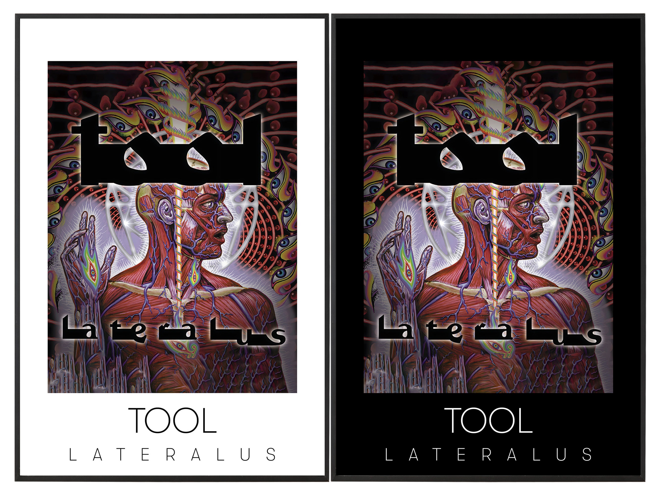 Tool Lateralus Album Cover