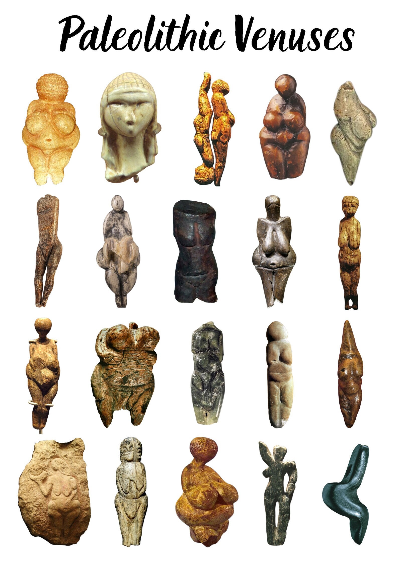 Paleolithic Venuses Poster Etsy